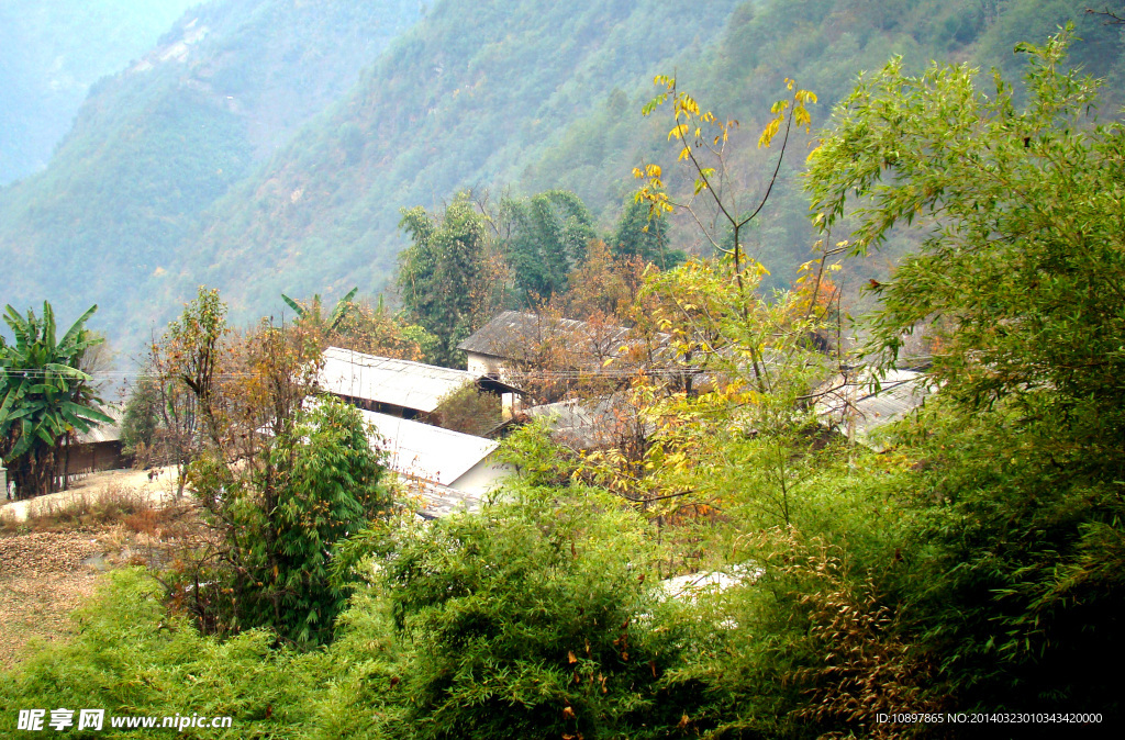 竹林小屋