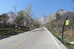 少室山春景