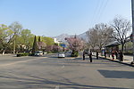 登封市区