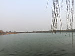 圆明园湖面
