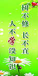 学校展板