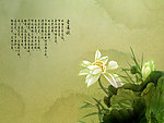 素雅 爱莲说