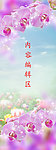 紫色兰花