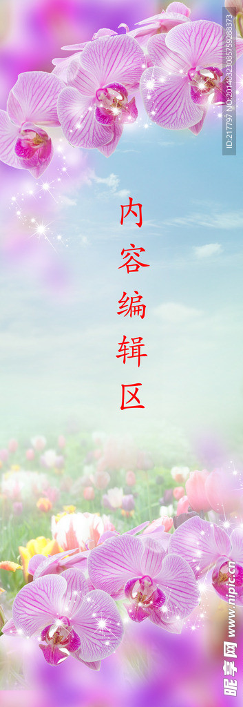 紫色兰花