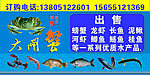 大闸蟹 海报