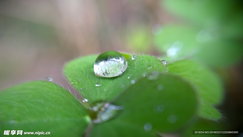 水珠