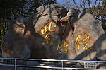 紫竹院