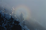 山川风景