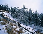山川风景