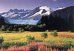 山川风景