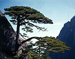 山川风景