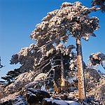 山川风景