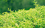 自然风光 风景照片