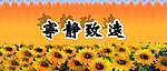 宁静致远