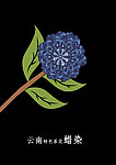 云南印象