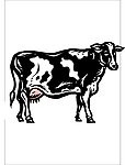 矢量卡通造型 奶牛