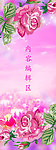 玫瑰花