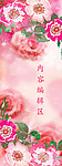 玫瑰花