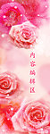 粉色玫瑰