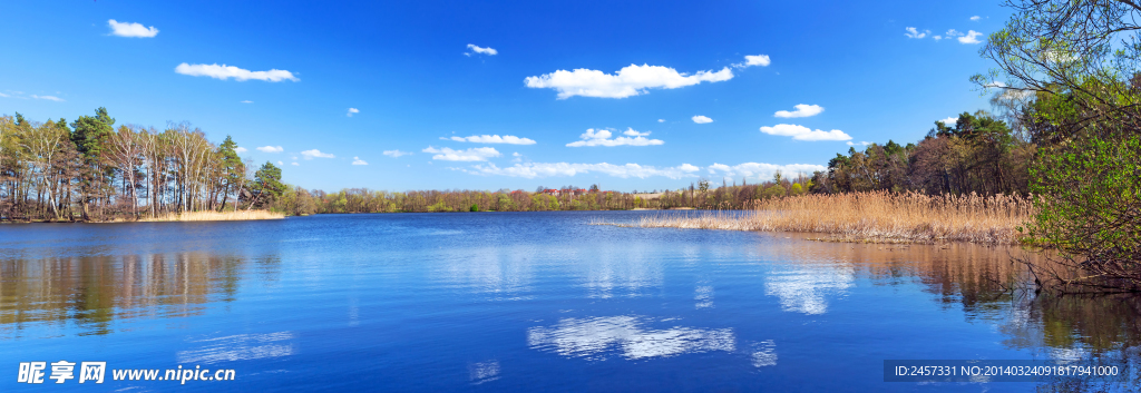 春天湖水风景