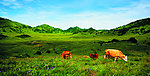 红池坝风景