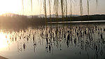 西湖