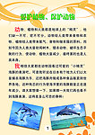学生小报