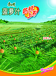 饮品宣传