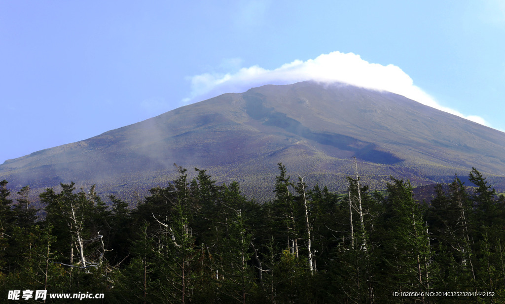 富士山