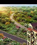 住宅后院效果图