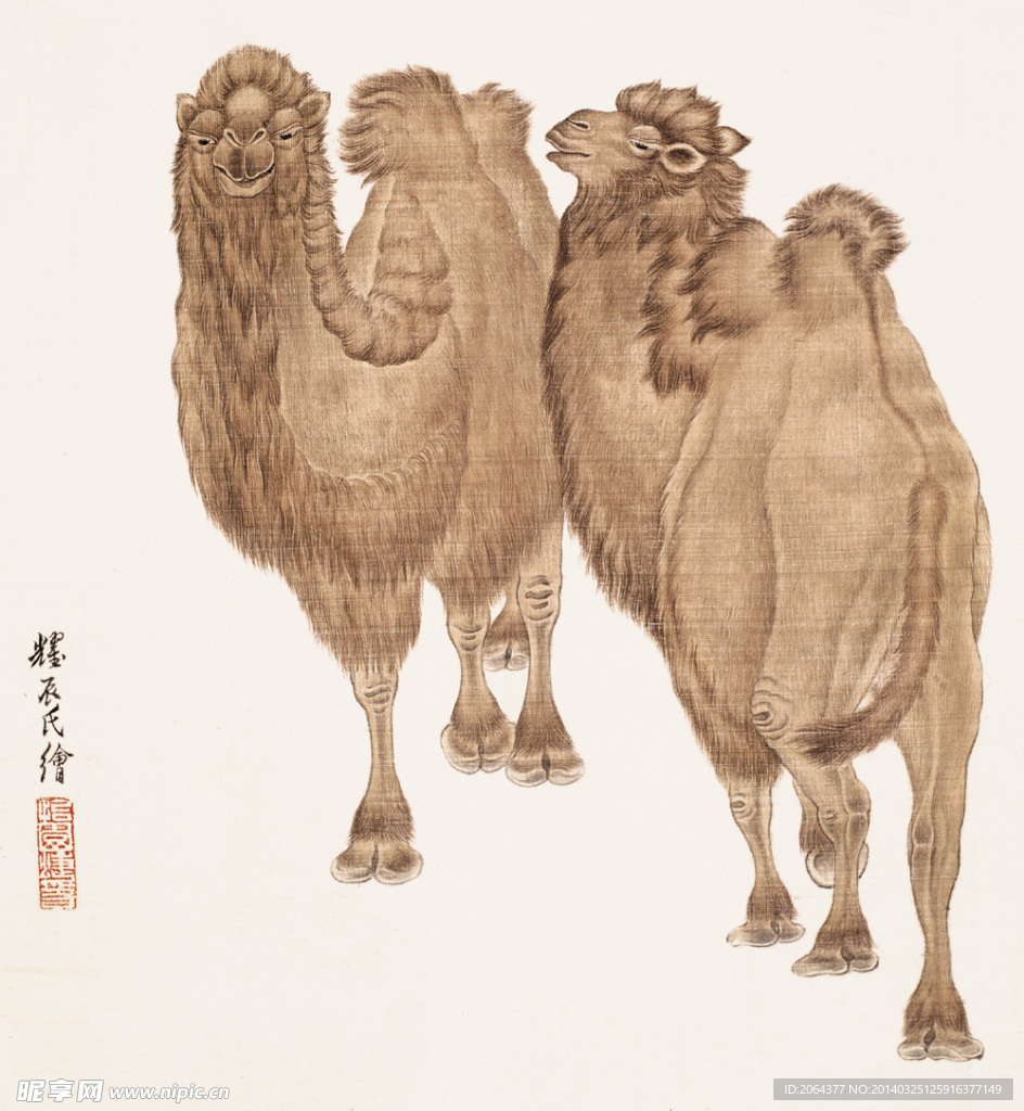 骆驼工笔画