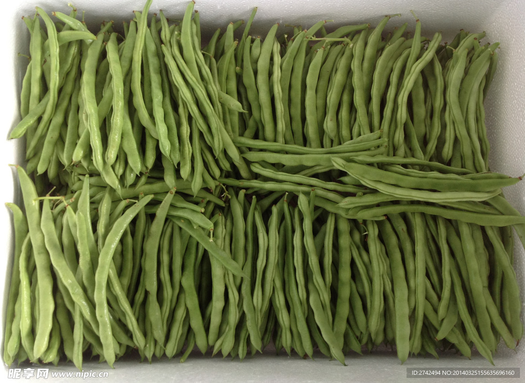 豆角