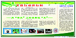 光盘行动