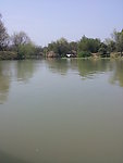 西溪湿地