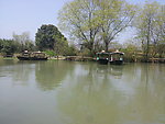西溪湿地