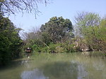 西溪湿地