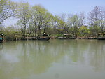 西溪湿地