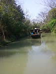 西溪湿地