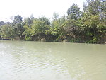 西溪湿地