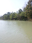 西溪湿地