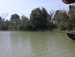 西溪湿地