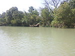 西溪湿地