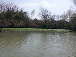 西溪湿地