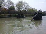 西溪湿地