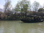 西溪湿地