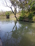 西溪湿地