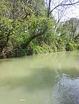 西溪湿地