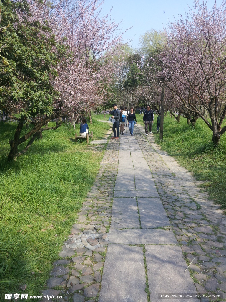 西溪湿地