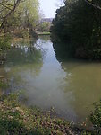 西溪湿地 湖泊 河流