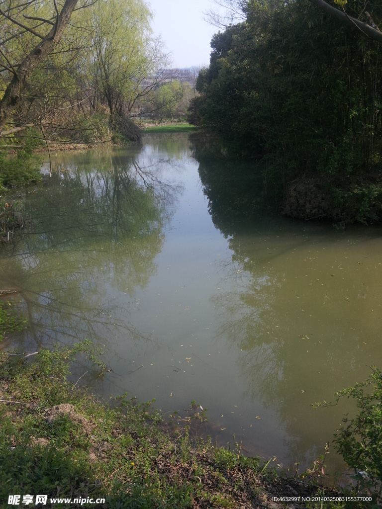 西溪湿地 湖泊 河流